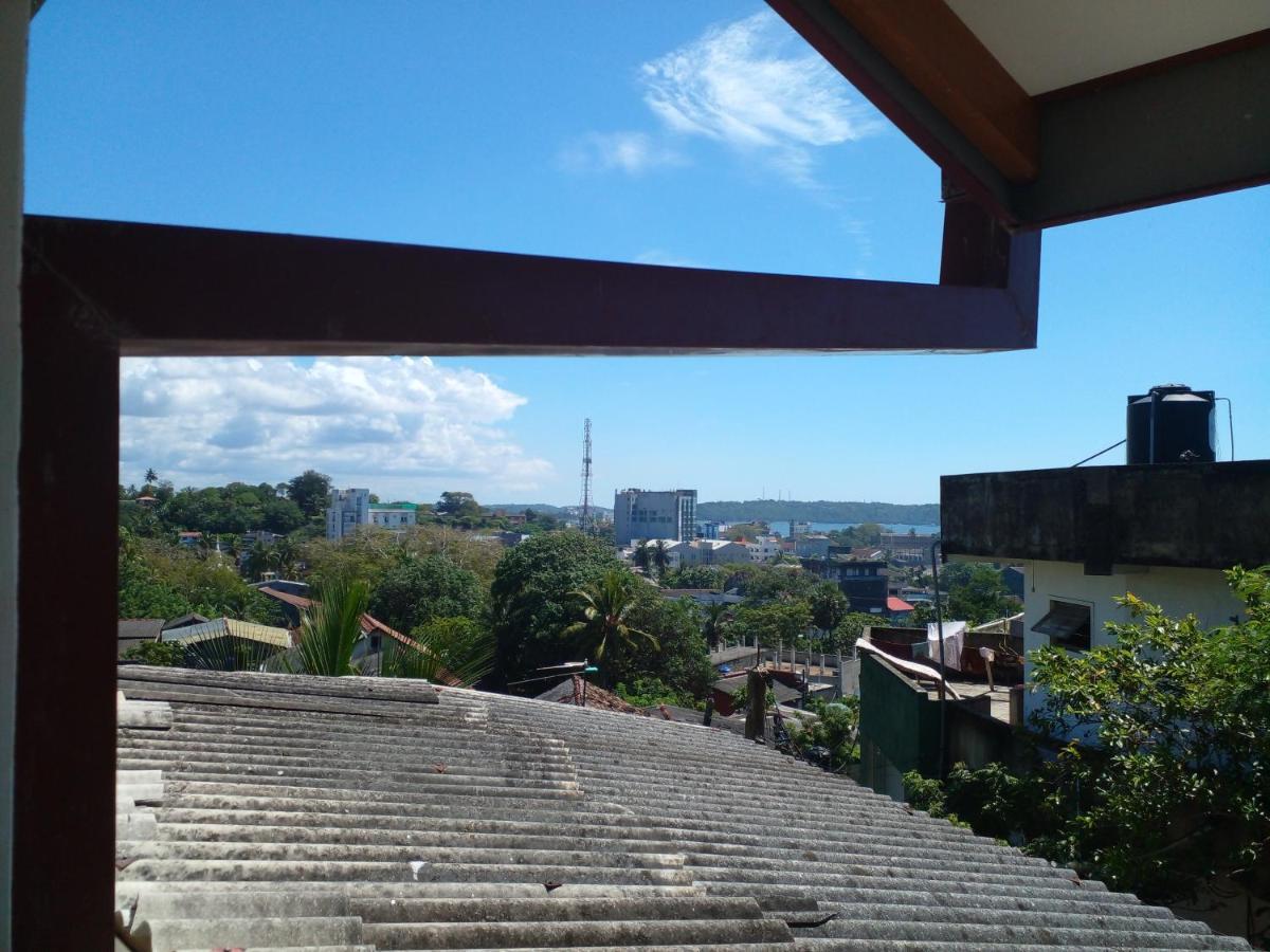 Nest Galle